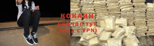 сатива Абинск