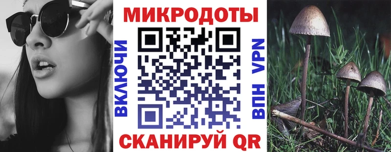 купить закладку  Горбатов  Галлюциногенные грибы прущие грибы 